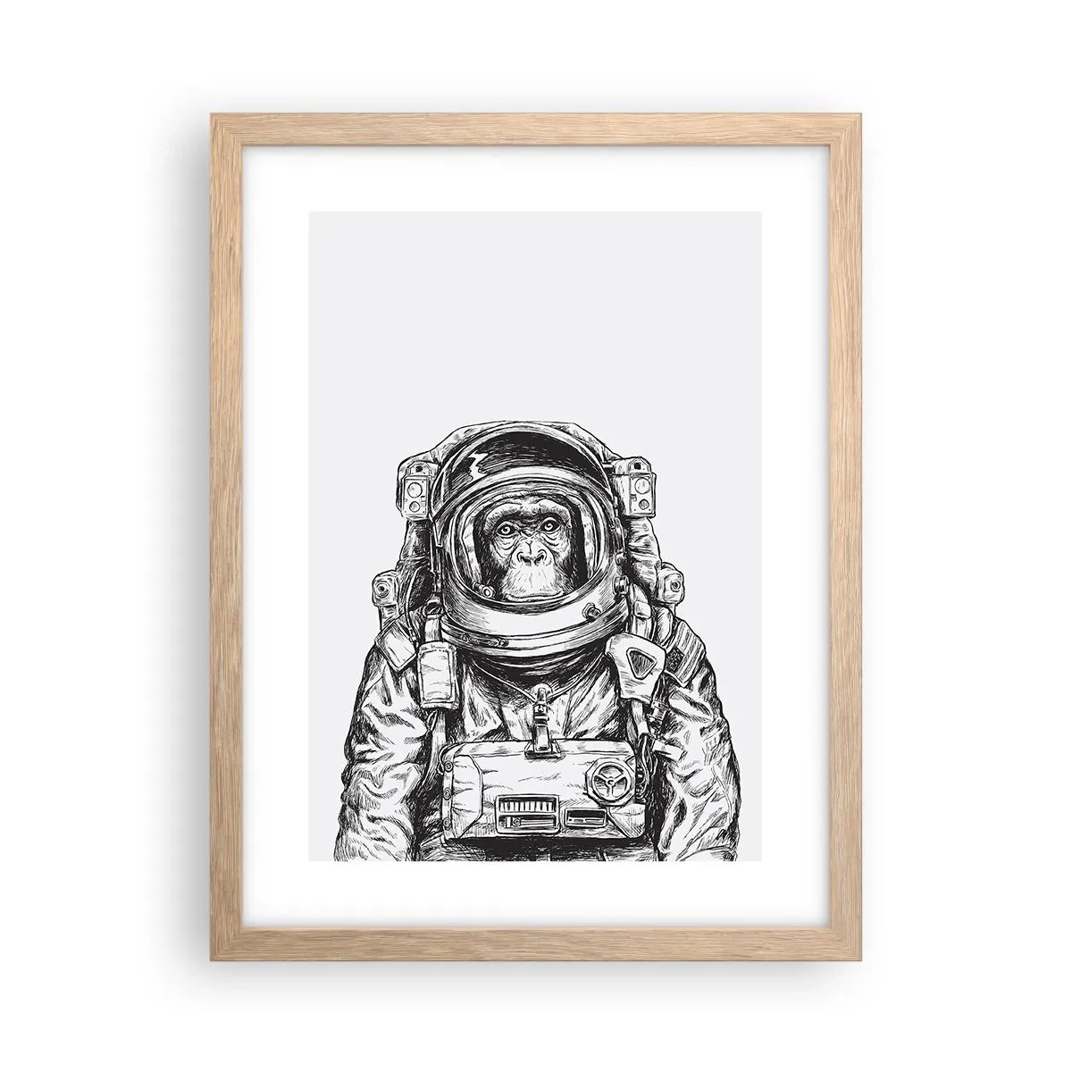 Plakat i ramme af lyst egetræ - Alternativ evolution - 30x40 cm