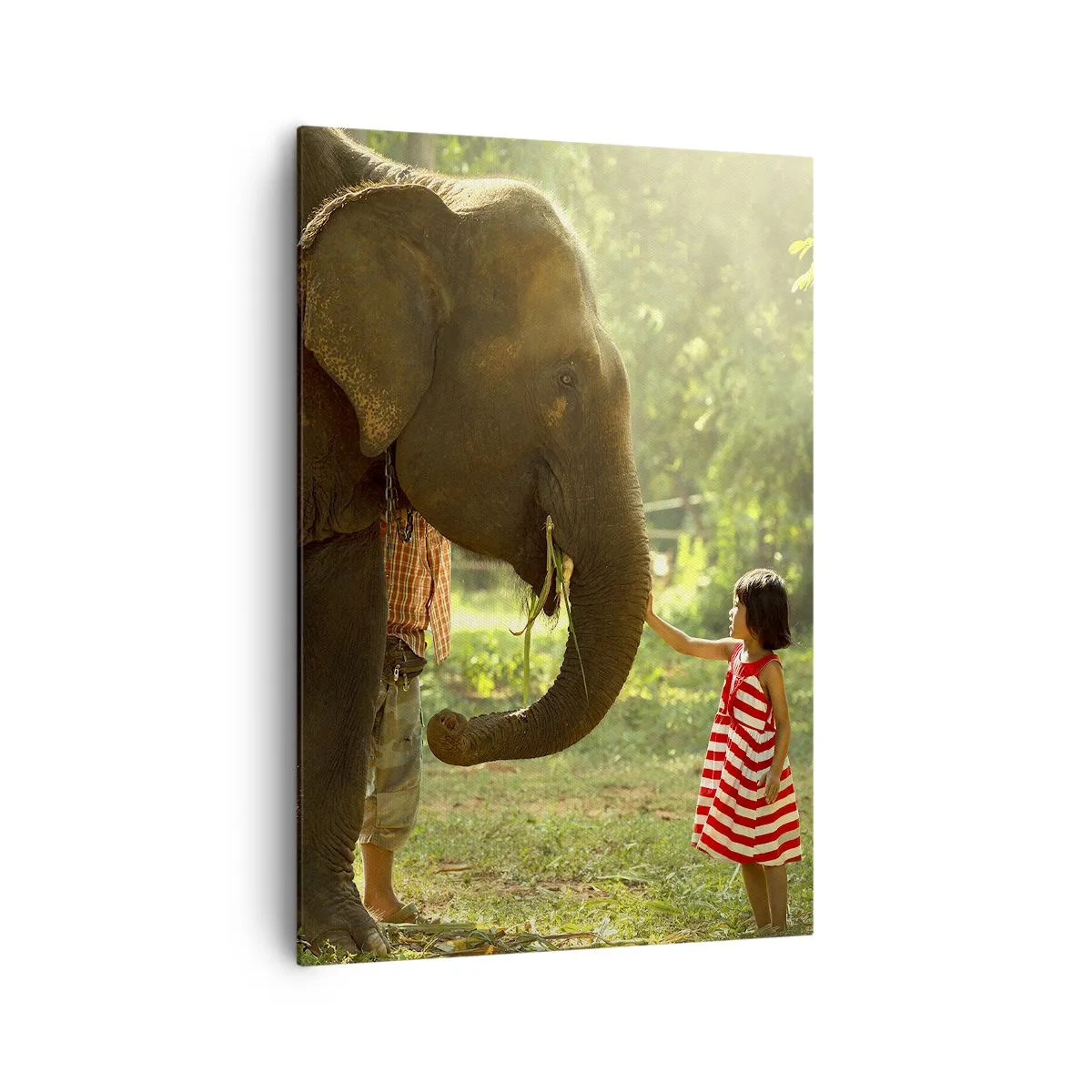 Lærredstryk - Billede på lærred - Venskabets kraft - 70x100 cm