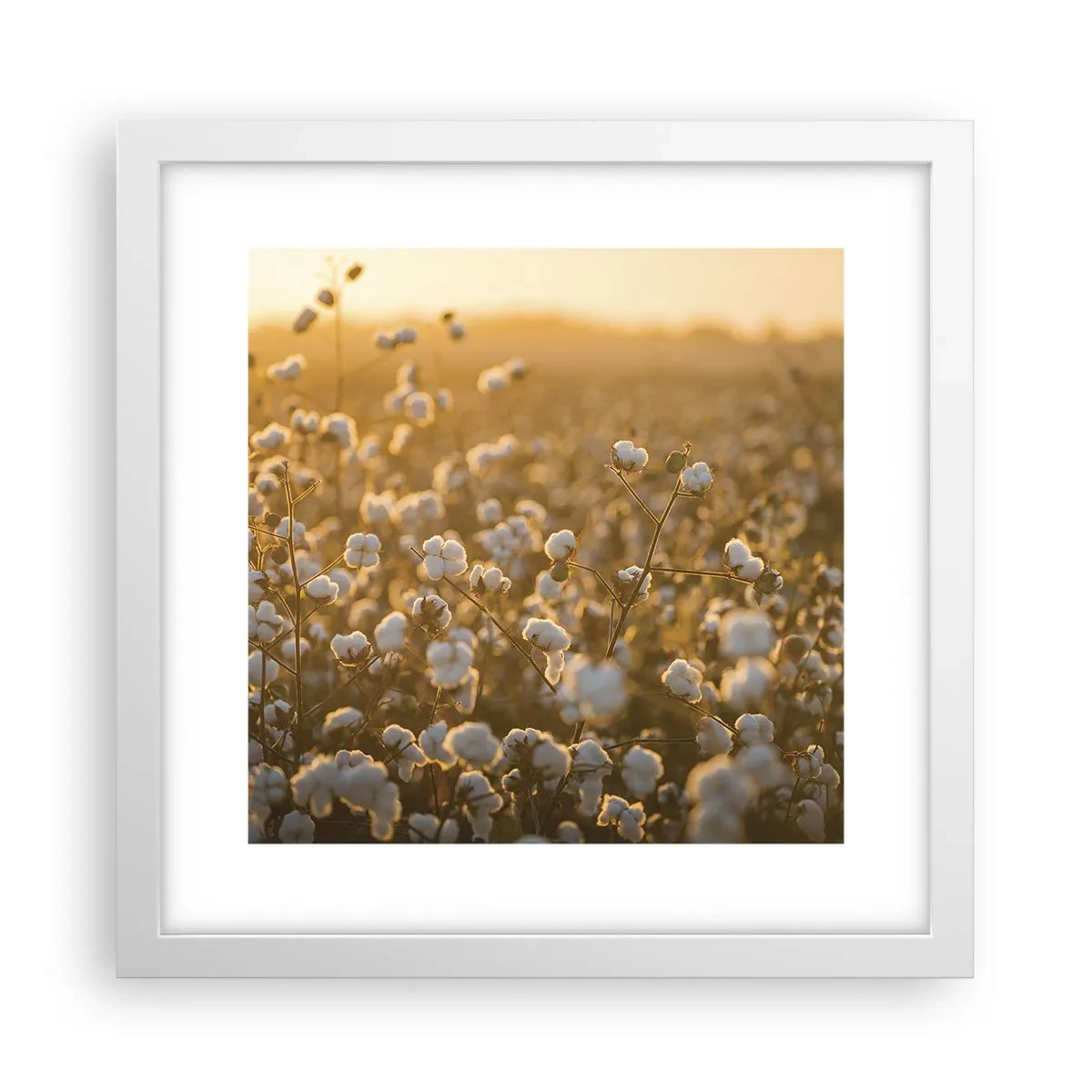 Plakat i hvid ramme - Et luftigt felt - 30x30 cm