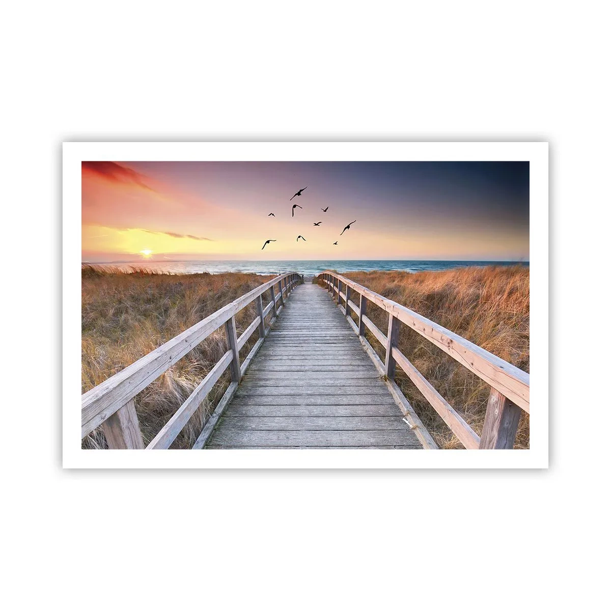 Plakat - Rummet med højder - 91x61 cm