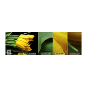 Prøve Fototapet Premium Sand - Opstå fra den rene sol - Blomster, Tulipaner, Buket blomster - 100x30 cm