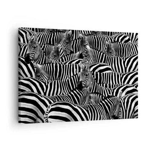Lærredstryk - Billede på lærred - En gruppe zebraer med sorte og hvide striber, der skaber et symmetrisk mønster. - 70x50cm - Stribet gruppeportræt - Moderne vægdekoration til stue og soveværelse ARTTOR