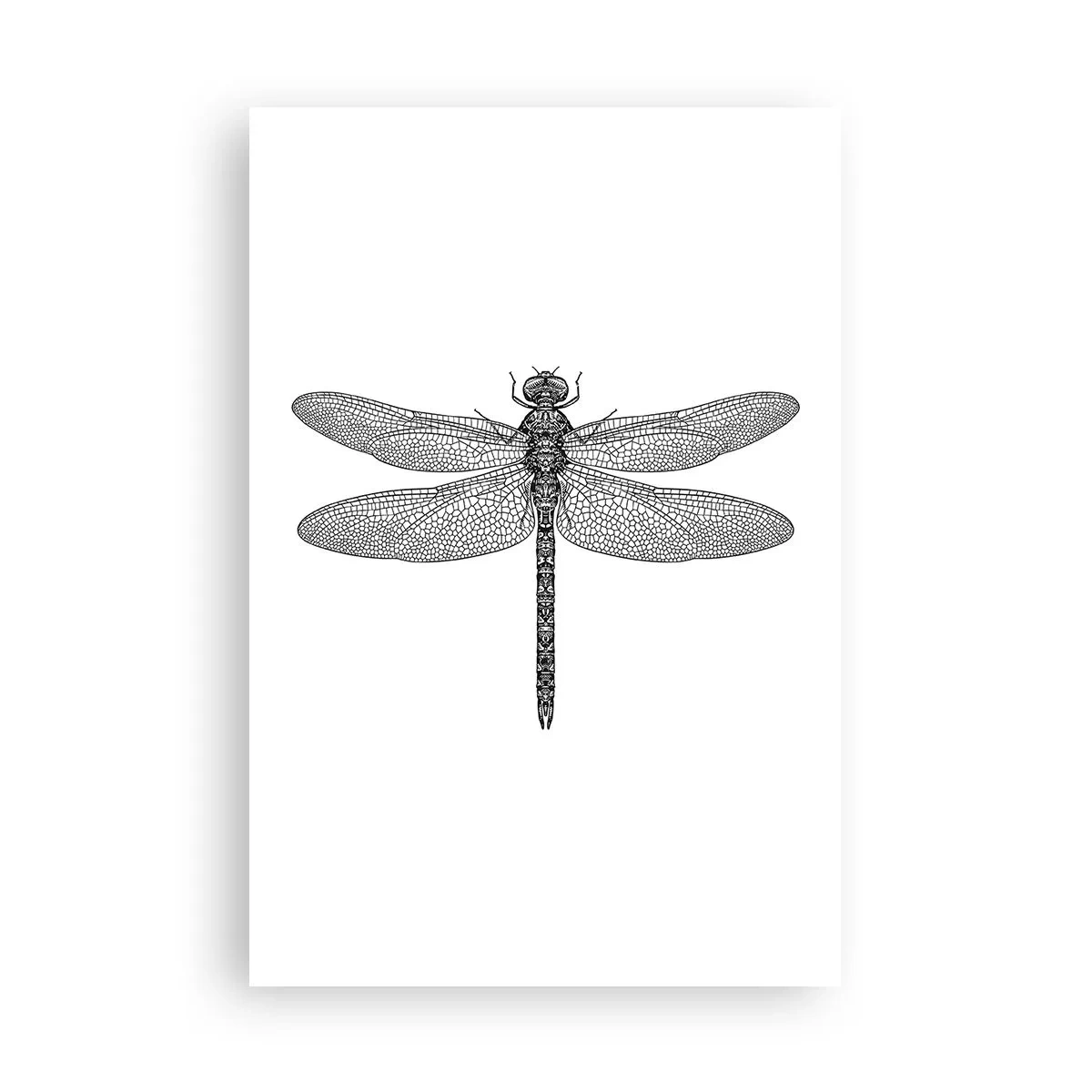 Plakat - Præcision i naturen - 61x91 cm