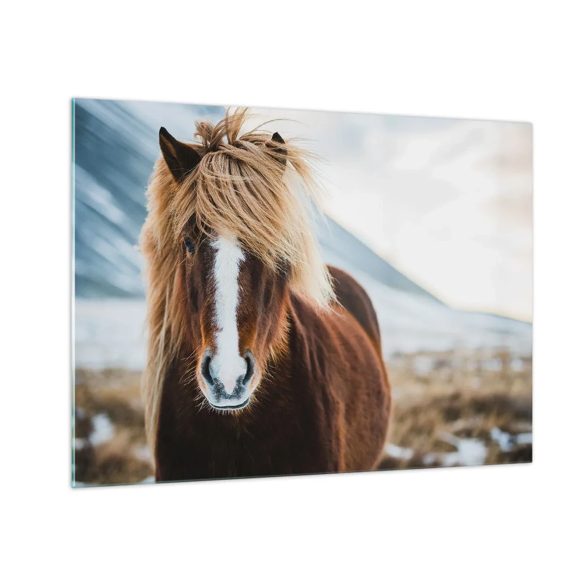 Billede på glas - En hest mod et bjerglandskab om vinteren - 70x50cm - Kan du mærke friheden? - Moderne vægdekoration til stue og soveværelse ARTTOR