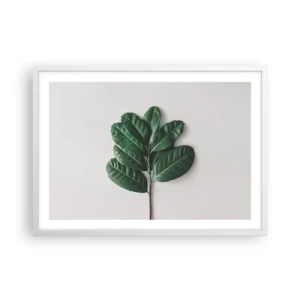 Plakat i hvid ramme - Tegning af selve naturen - 70x50 cm