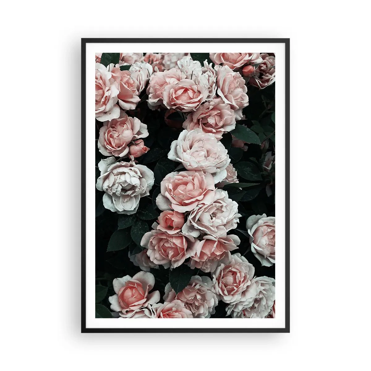 Plakat i sort ramme - Lyserød ansamble - 70x100 cm