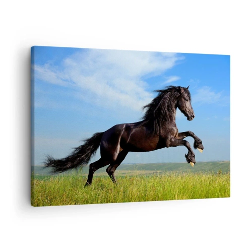 Lærredstryk - Billede på lærred - En sort hest løber mod en blå himmel og en grøn eng - 70x50cm - Et medrivende manifest for frihed - Moderne vægdekoration til stue og soveværelse ARTTOR