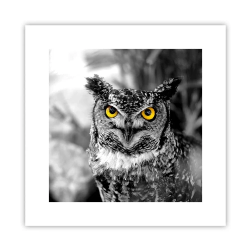 Plakat - Intet kan skjules - 30x30 cm