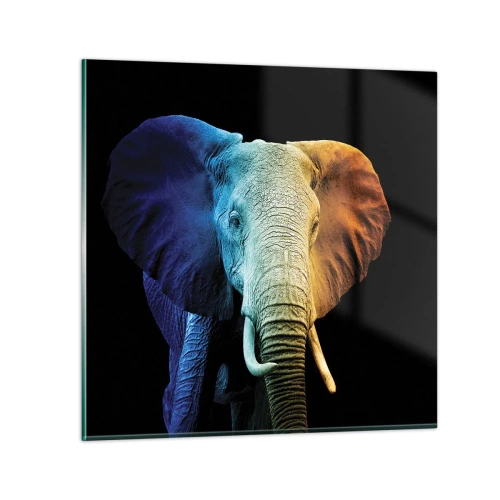 Billede på glas - Excentrisk, ikke underlig - 40x40 cm