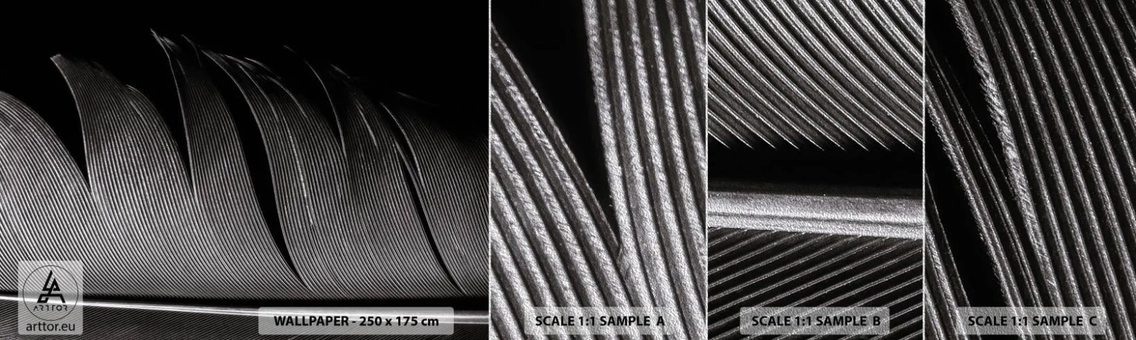 Prøve Fototapet Premium Sand - Fjer - en vidunderlig konstruktion - Pen, Minimalisme, Lethed - 100x30 cm