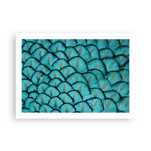 Plakat - Den store fjer-galla - 70x50 cm
