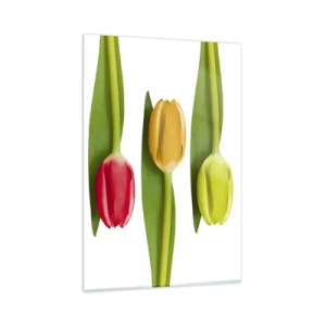 Billede på glas - Regnbuesammensætning - 80x120 cm