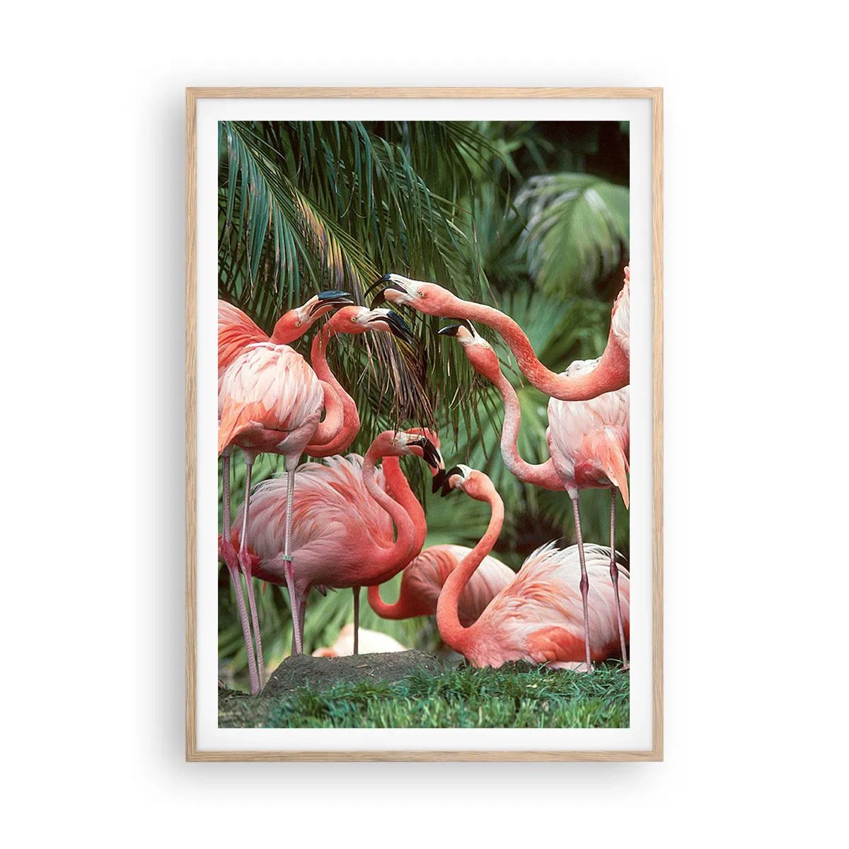 Plakat i ramme af lyst egetræ - Sladder om eftermiddagen - 70x100 cm