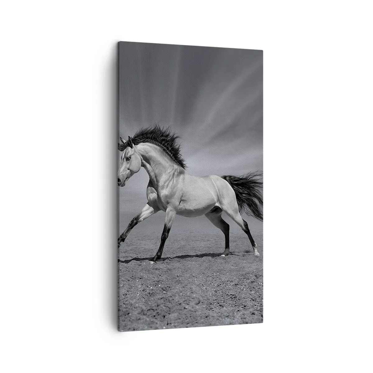 Lærredstryk - Billede på lærred - Født til glæde - 45x80 cm