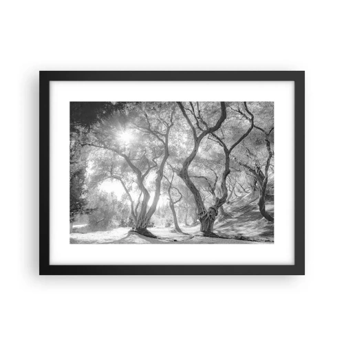 Plakat i sort ramme - I en olivenlund - 40x30 cm