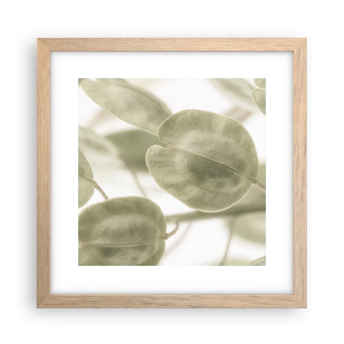 Plakat i ramme af lyst egetræ - I begyndelsen var der blade... - 30x30 cm