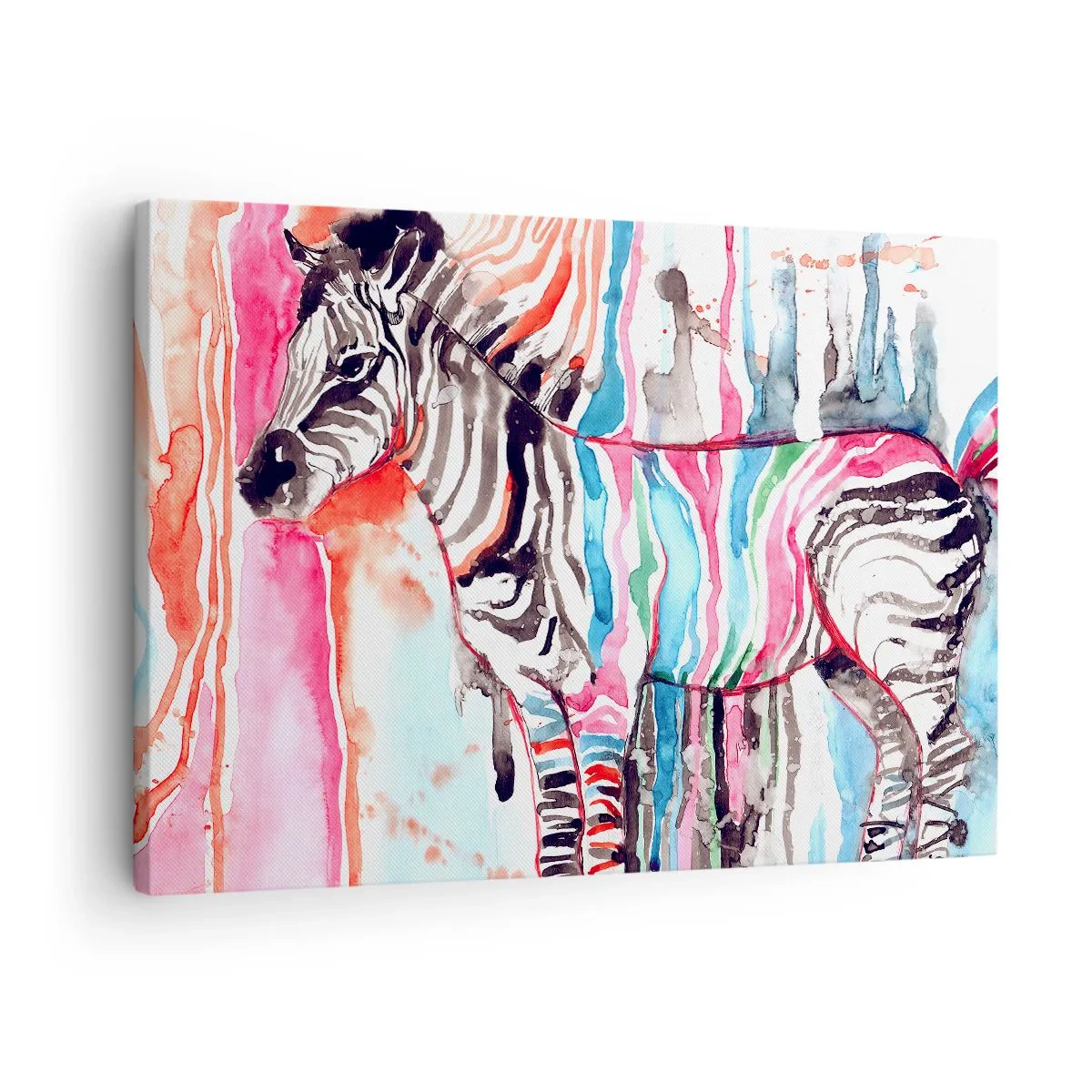 Lærredstryk - Billede på lærred - En farverig zebra mod en baggrund af abstrakte akvarelmønstre - 70x50cm - Naturens ubekymrede joke - Moderne vægdekoration til stue og soveværelse ARTTOR