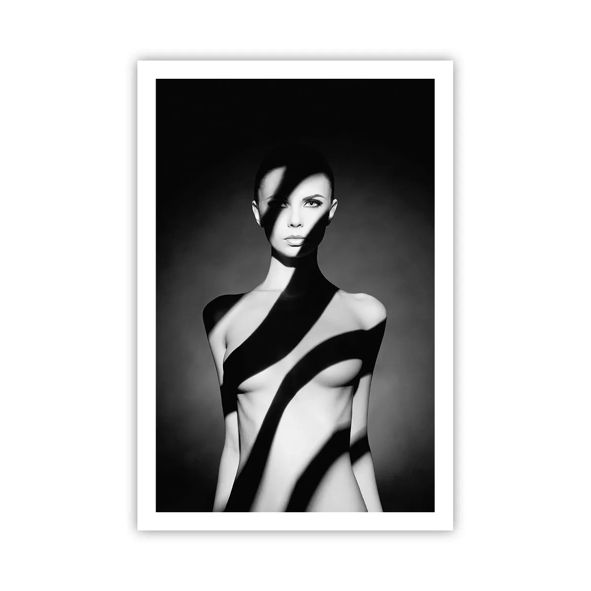 Plakat - I blænding og skygge - 61x91 cm