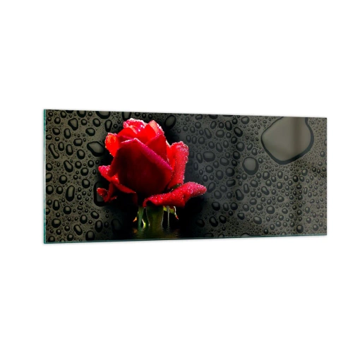 Billede på glas - Rød og sort - 100x40 cm