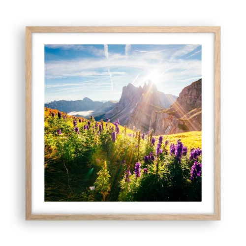 Plakat i ramme af lyst egetræ - Urternes hemmelige liv - 50x50 cm