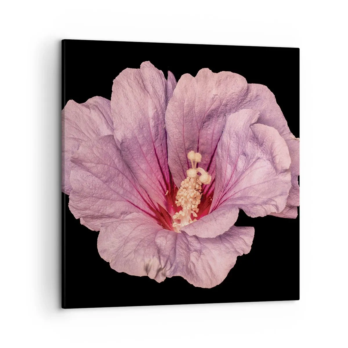 Lærredstryk - Billede på lærred - Lige i hjertet - 50x50 cm