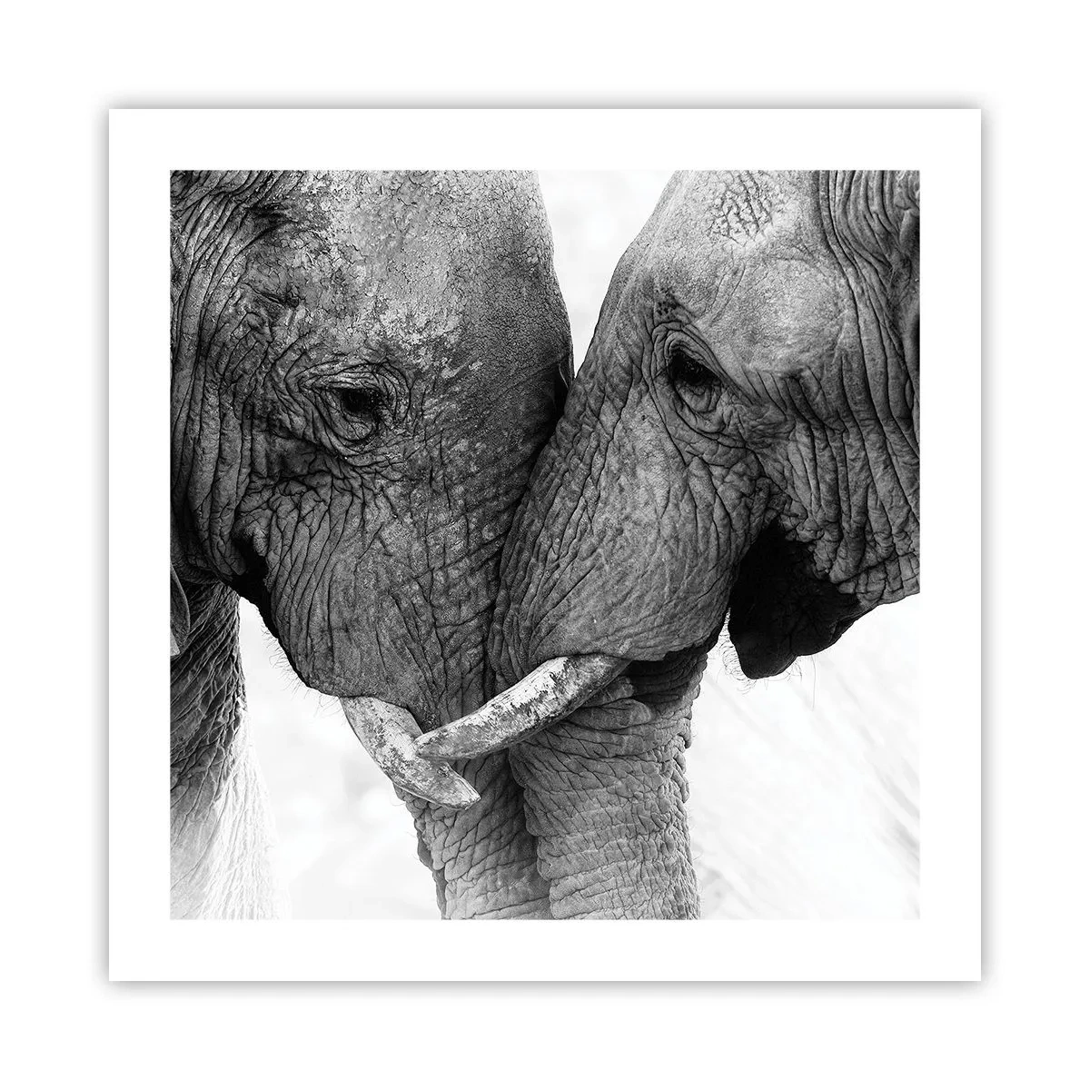 Plakat - Hjertelig tilståelse - 50x50 cm