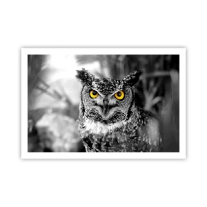 Plakat - Intet kan skjules - 91x61 cm