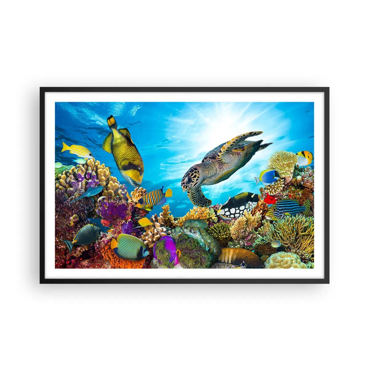 Plakat i sort ramme - Koralpromenade - 91x61 cm