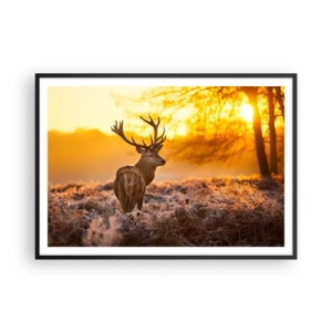 Plakat i sort ramme - Kongen af efterårsskoven - 100x70 cm