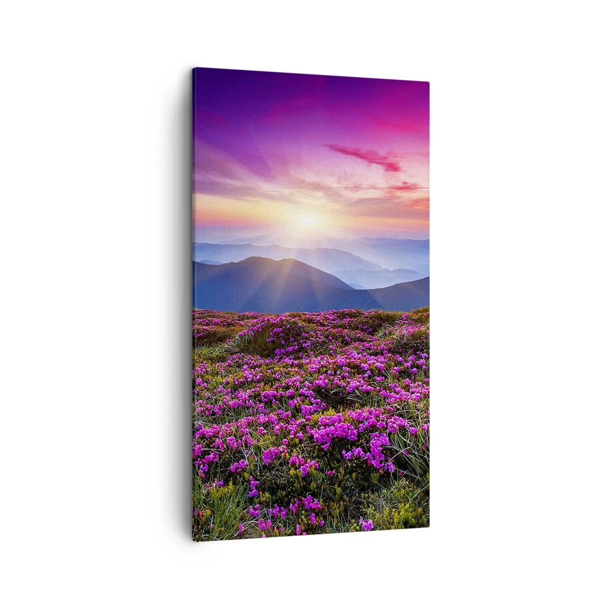 Lærredstryk - Billede på lærred - Urter duftede friske bundter fra niw - 45x80 cm