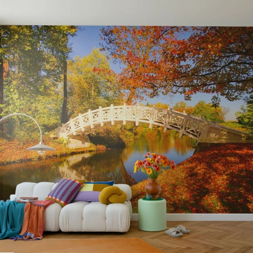 Fototapet Standard Eco - På den hvide bro af suk - Landskab, Parkere, træbro - 450x315 cm