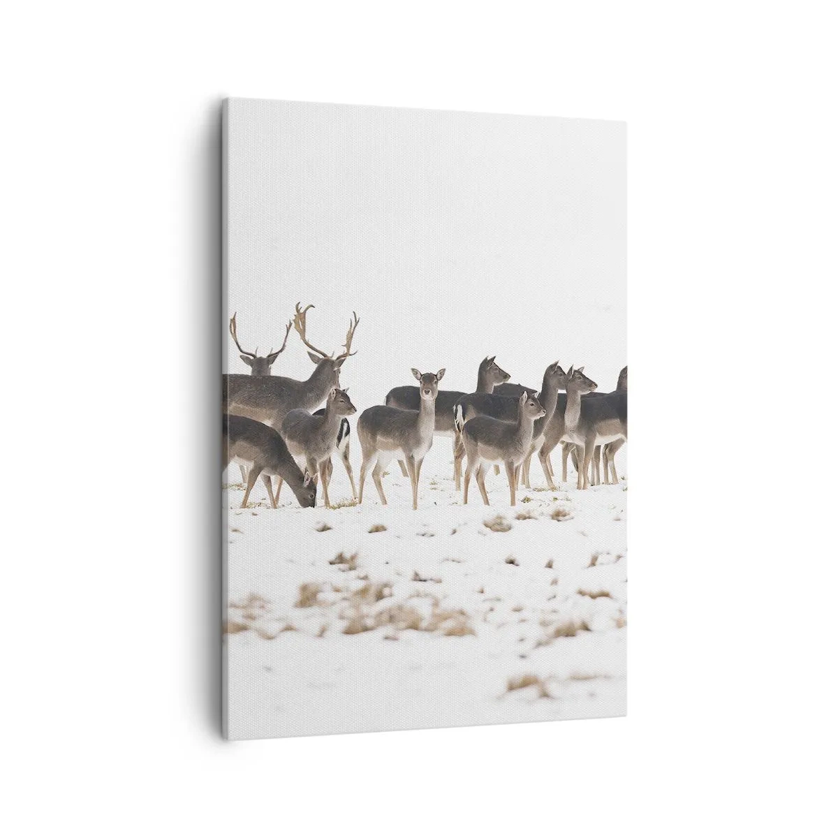 Lærredstryk - Billede på lærred - Er det snart jul? - 50x70 cm
