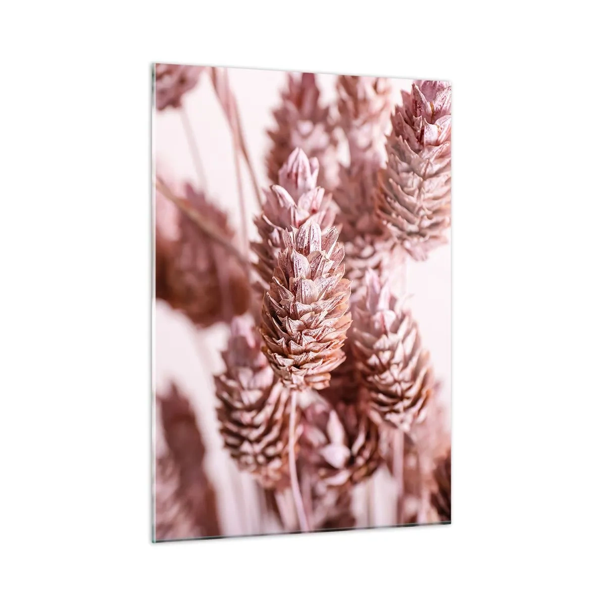 Billede på glas - Tilsyneladende ubemærket - 50x70 cm