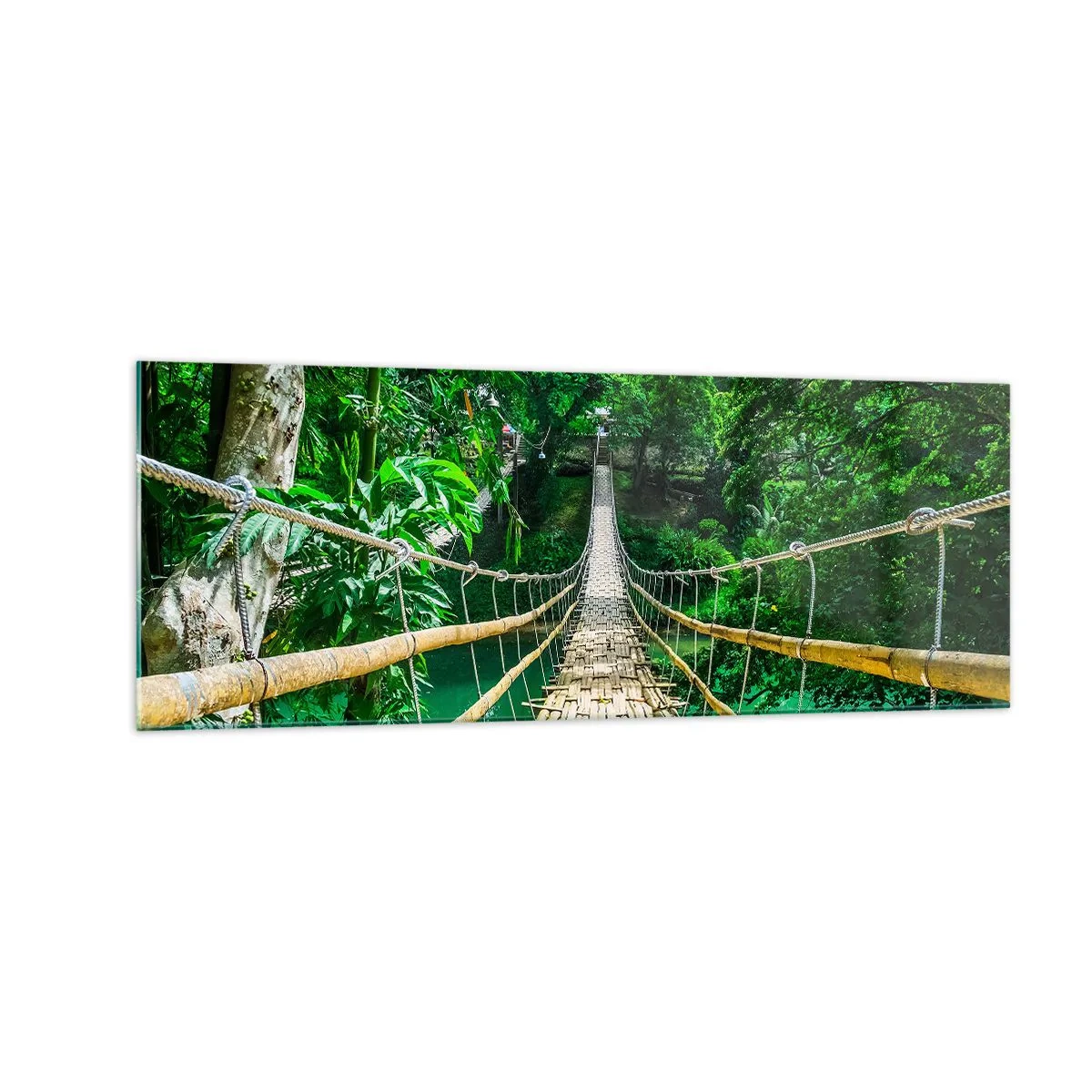 Billede på glas - Abebro over grønne områder - 140x50 cm