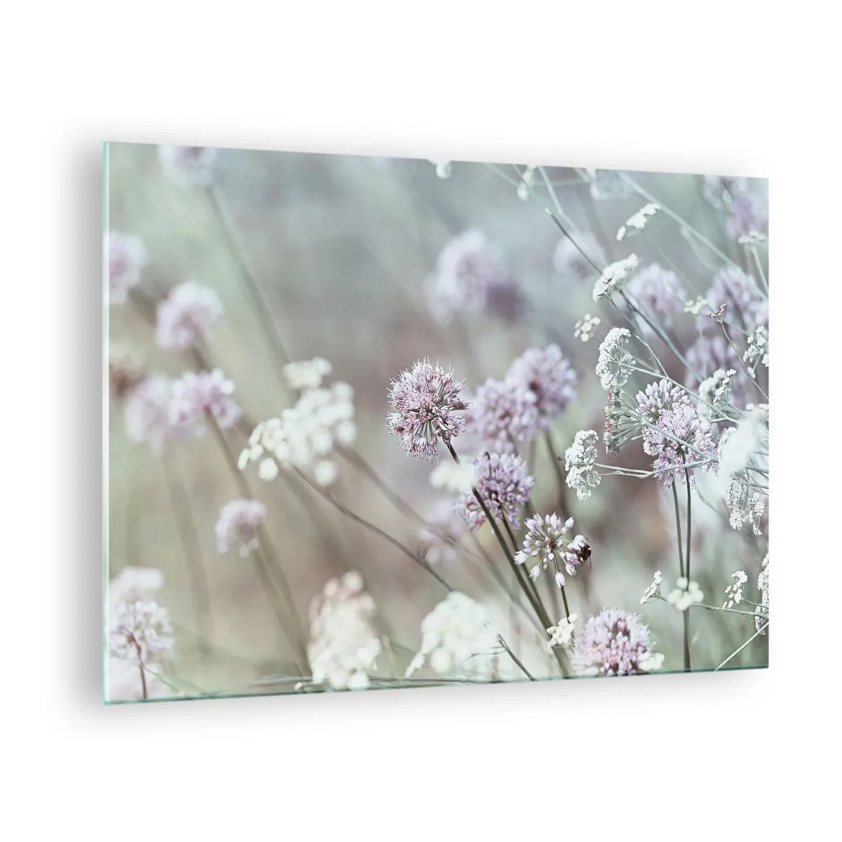 Billede på glas - Delikate vilde blomster i pastelfarver - 70x50cm - Søde filigranurter - Moderne vægdekoration til stue og soveværelse ARTTOR