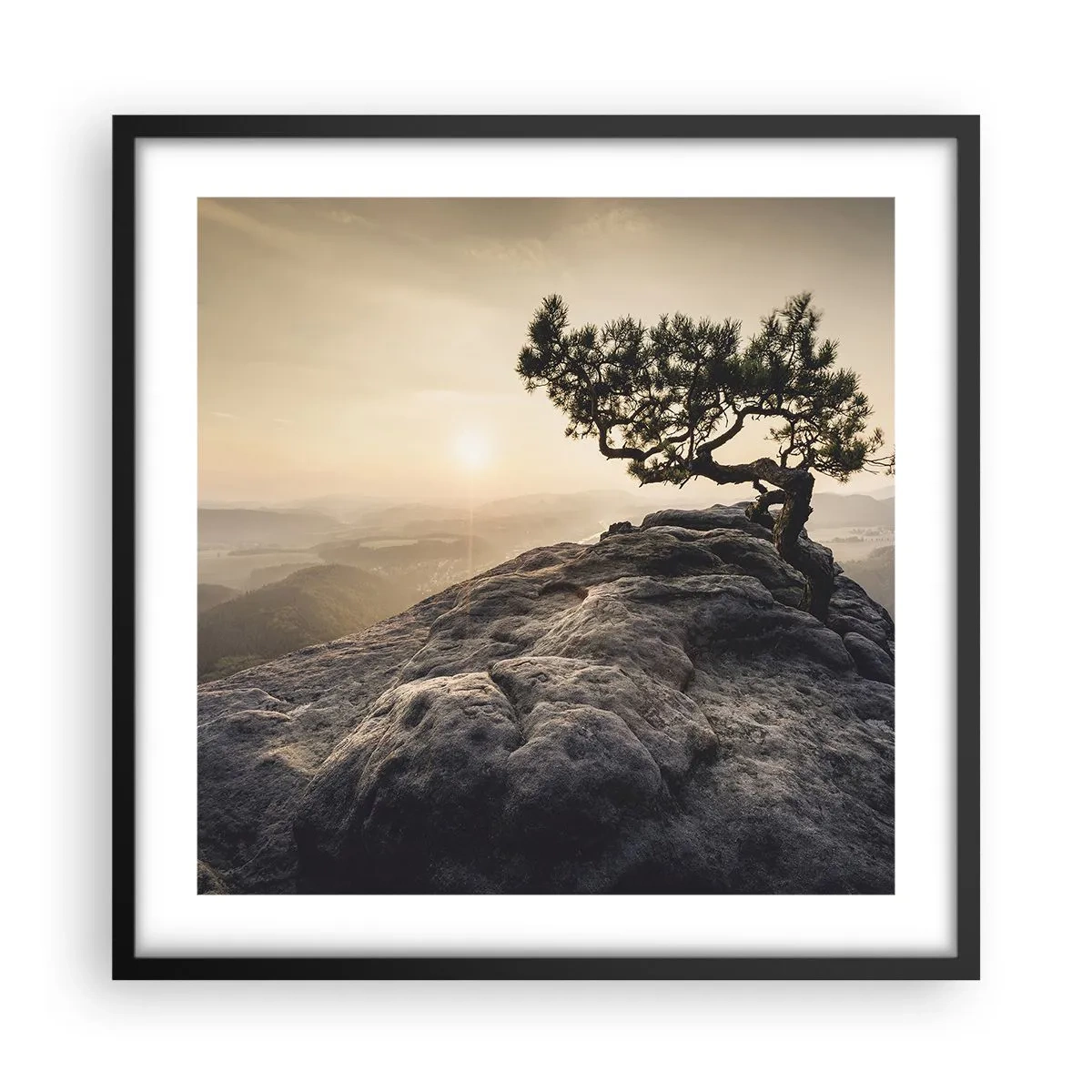 Plakat i sort ramme - Livet vinder altid - 50x50 cm