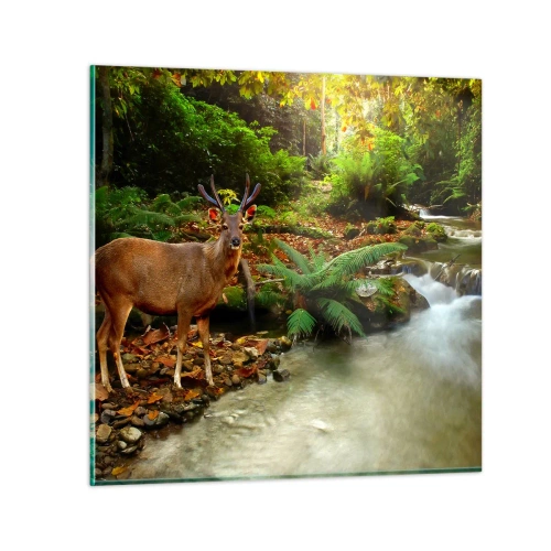 Billede på glas - Velkommen til min verden - 70x70 cm