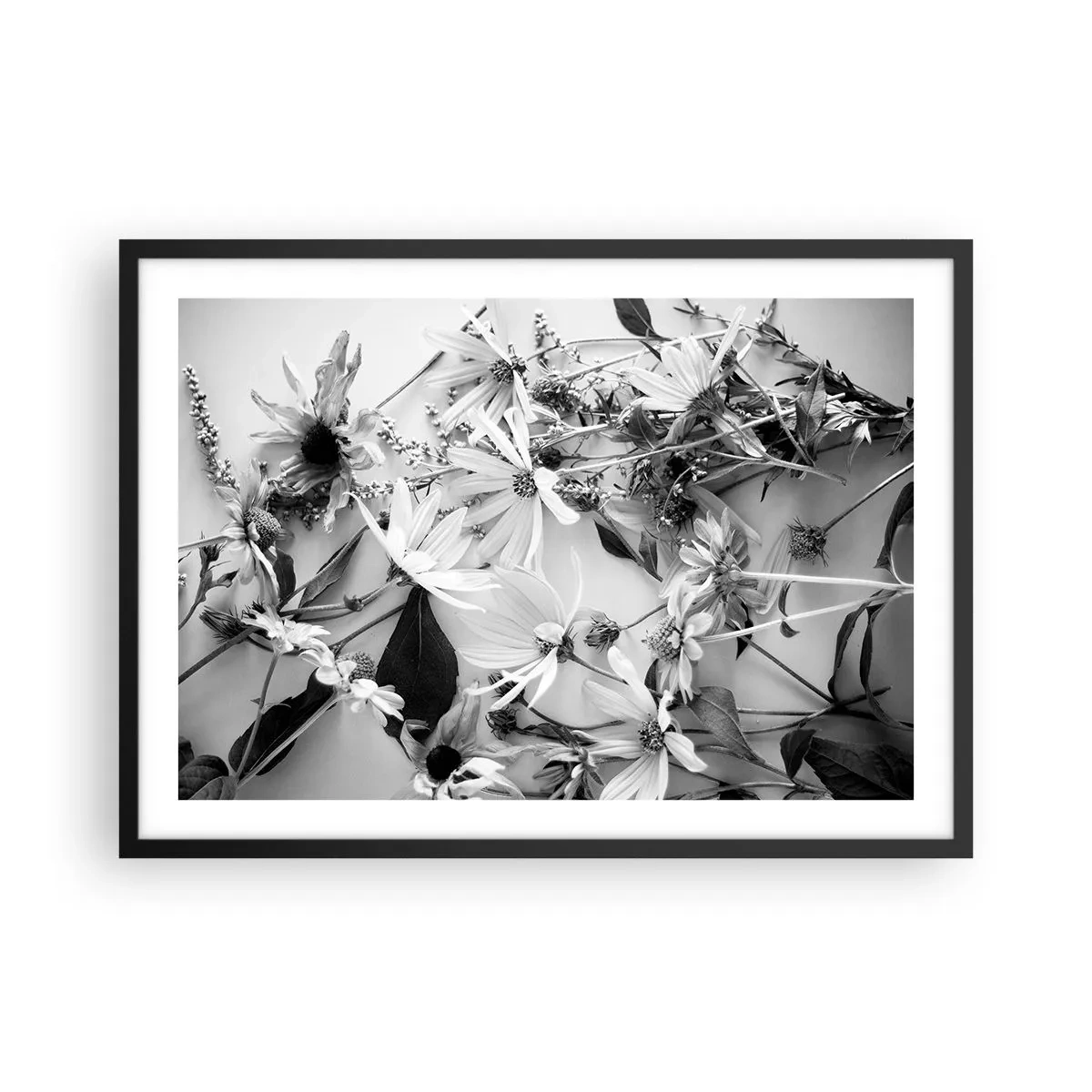 Plakat i sort ramme - Blomster uden buket - 70x50 cm