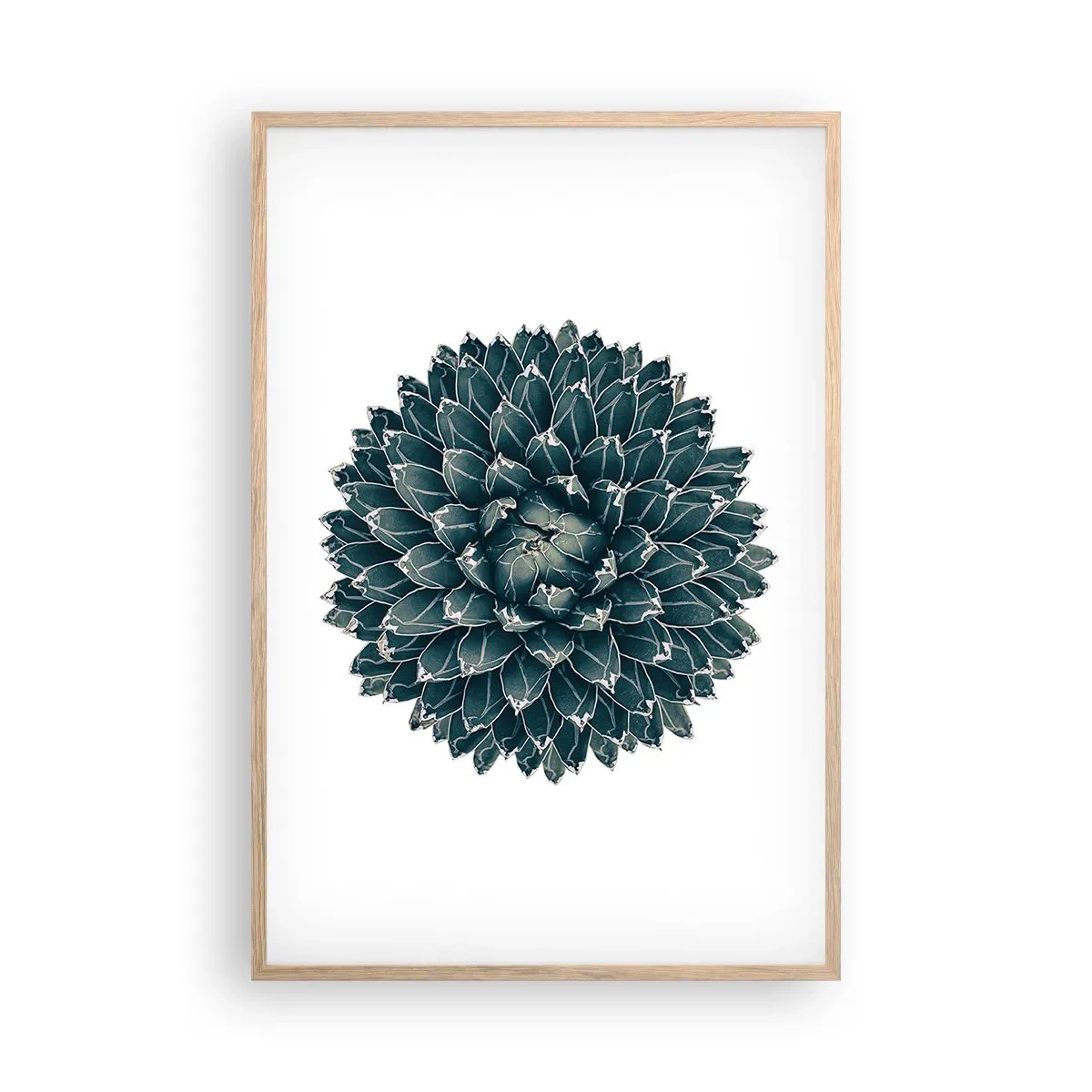 Plakat i ramme af lyst egetræ - Ørkenstjerne - 61x91 cm