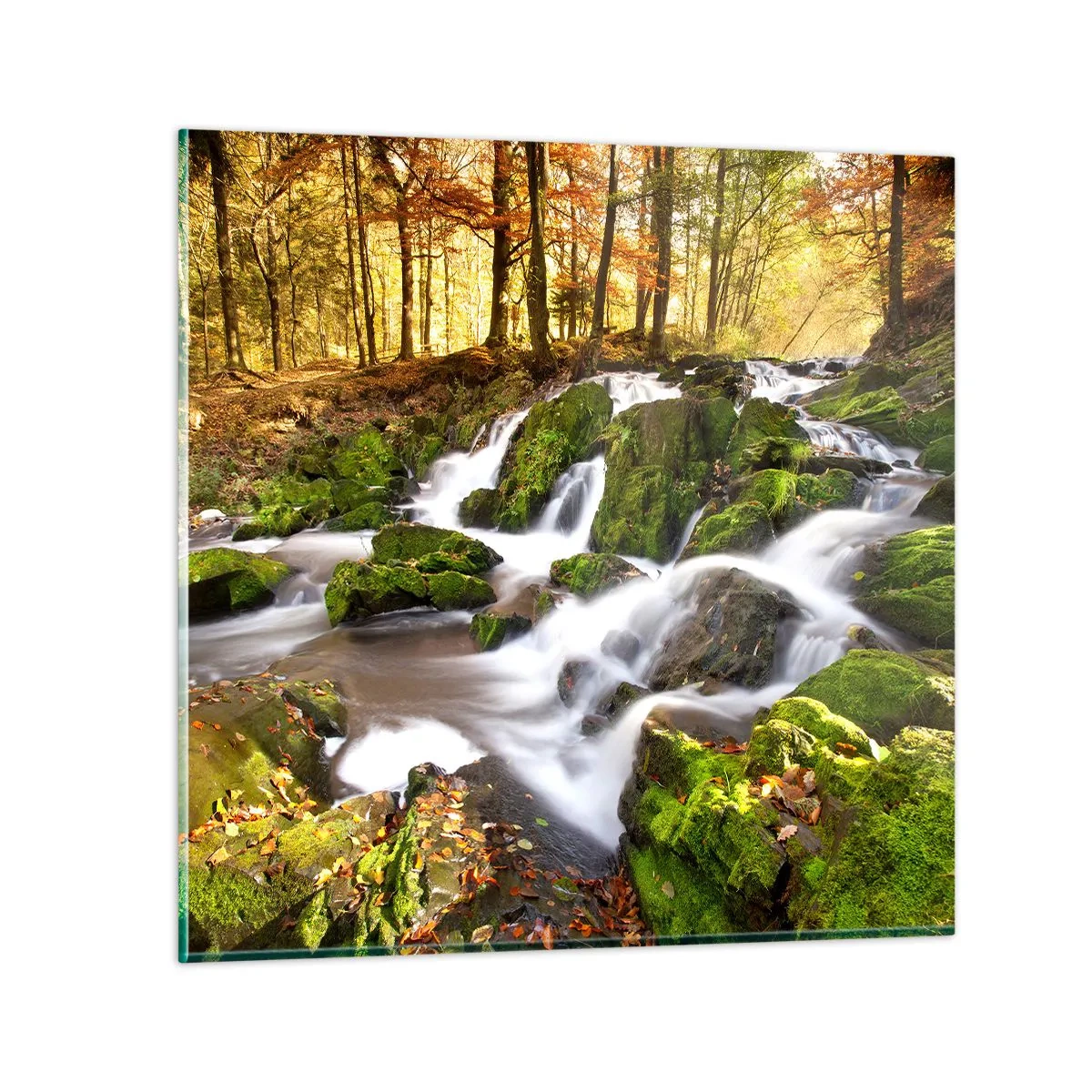 Billede på glas - Bystrøm gennem efterårsskoven - 50x50 cm