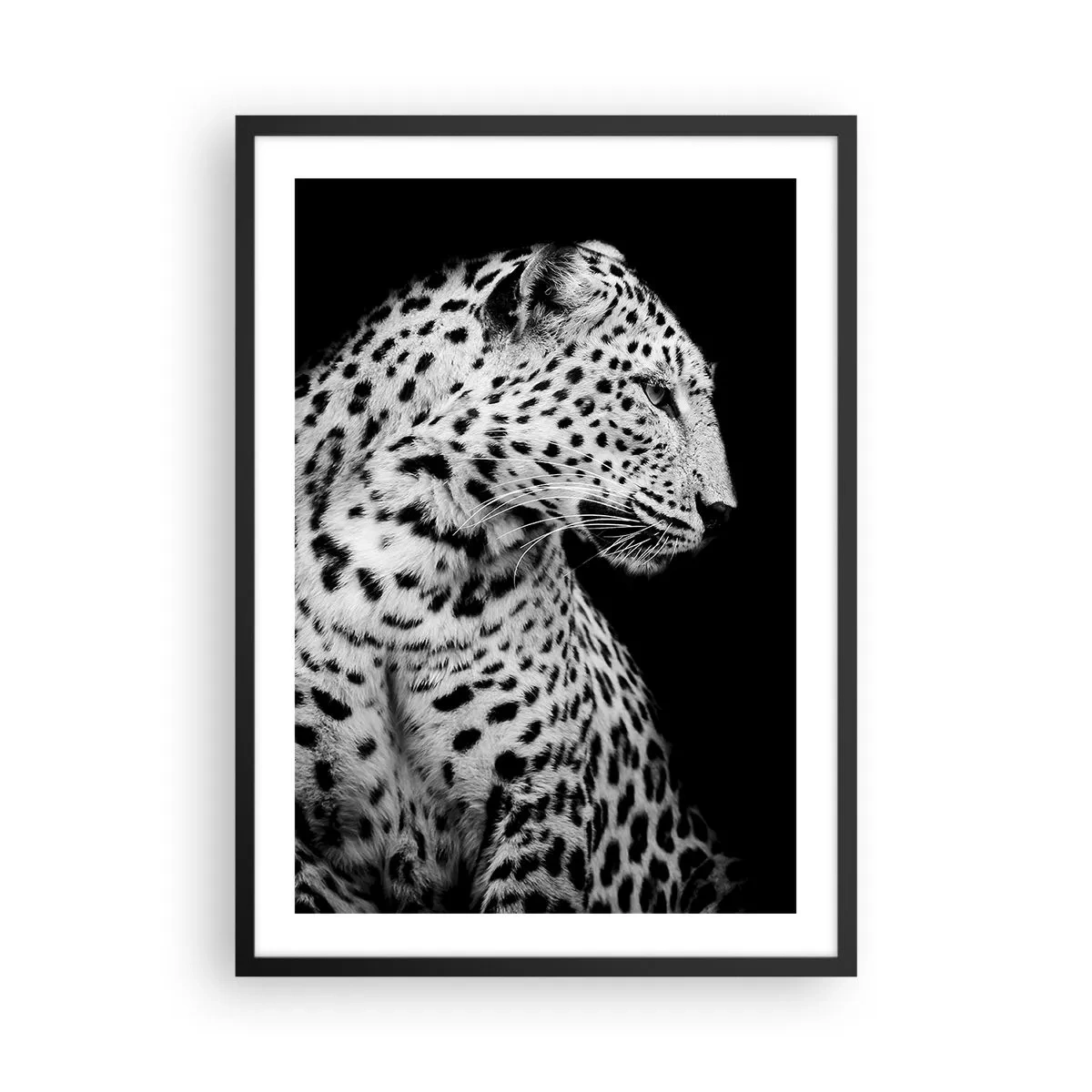 Plakat i sort ramme - Sort-hvidt portræt af en leopard på en sort baggrund - 50x70cm - Den rigtige profil er perfekt! - Moderne vægdekoration til stue og soveværelse ARTTOR