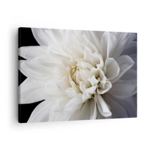 Lærredstryk - Billede på lærred - En delikat hvid blomst på en sort baggrund i en elegant komposition - 70x50cm - Morgenbrud - Moderne vægdekoration til stue og soveværelse ARTTOR
