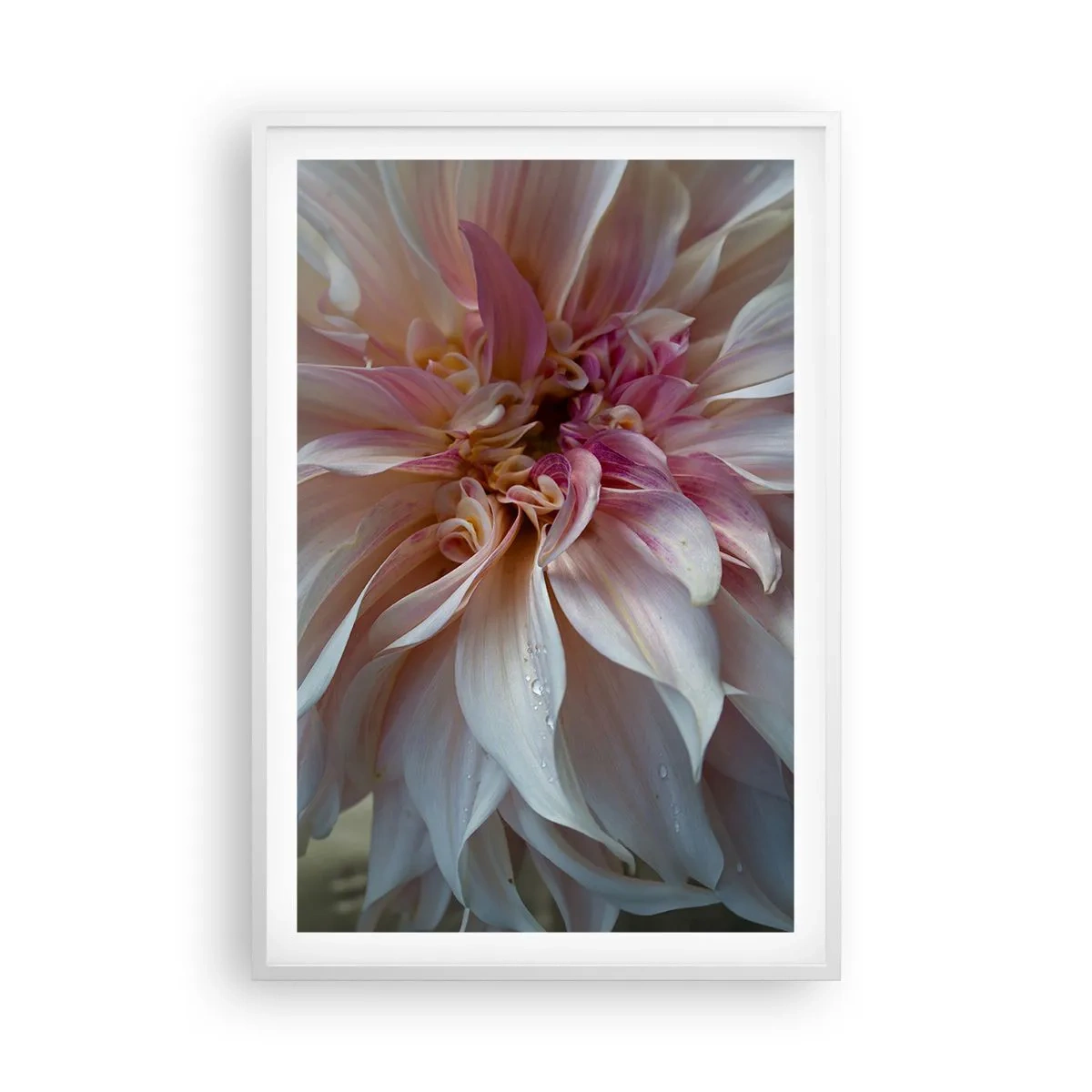 Plakat i hvid ramme - Blomstrende friskhed - 61x91 cm