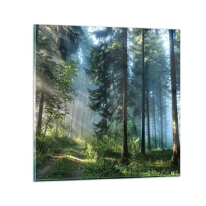 Billede på glas - Strålende om morgenen - 40x40 cm