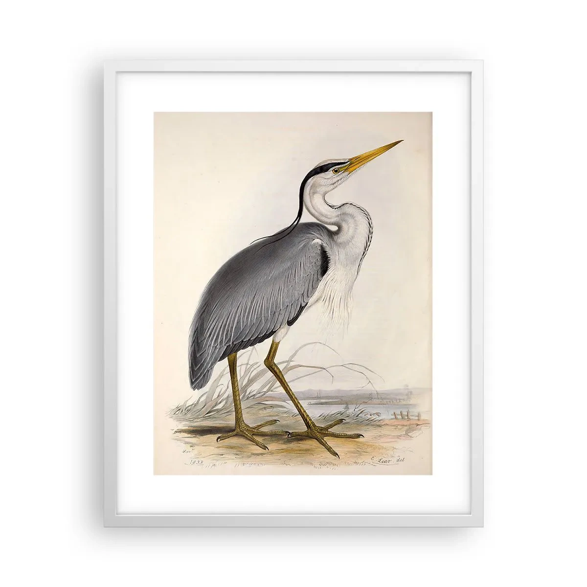 Plakat i hvid ramme - Fiskehejre-charme - 40x50 cm