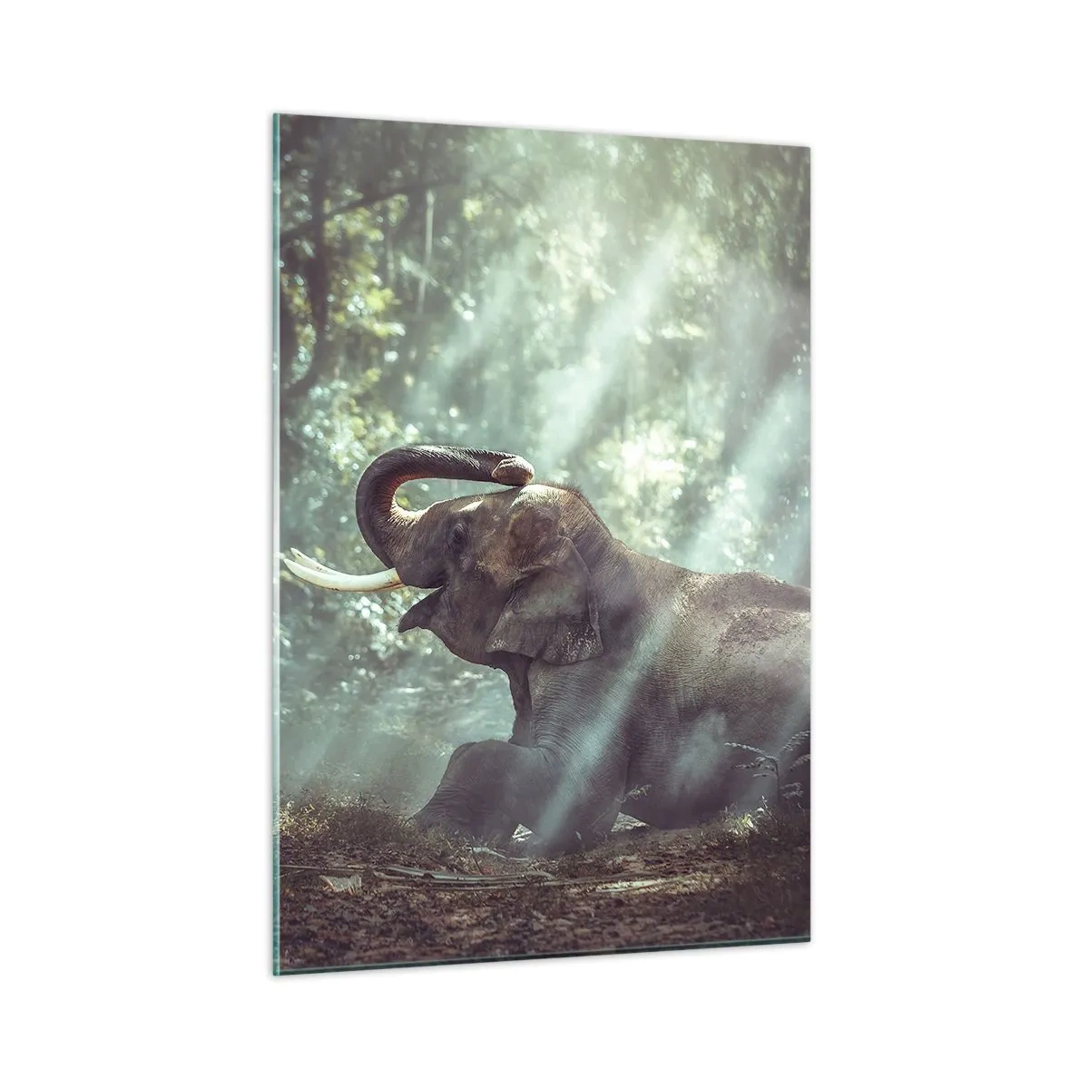 Billede på glas - Og hør her... - 50x70 cm