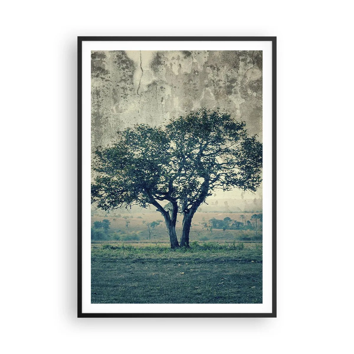 Plakat i sort ramme - Et æbletræ på en blå membran? - 70x100 cm