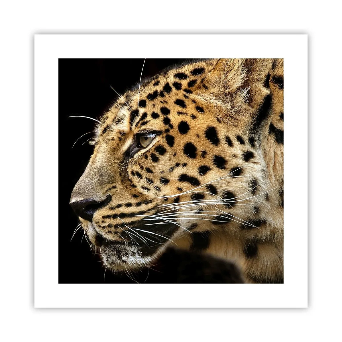 Plakat - Rolig, fokuseret, klar - 40x40 cm