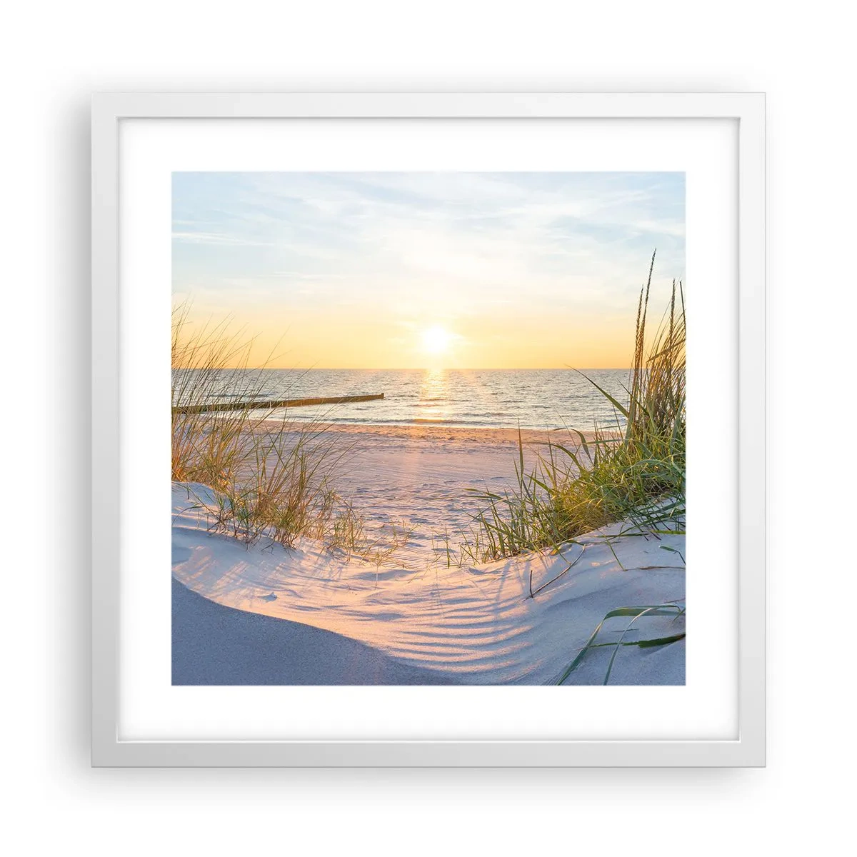 Plakat i hvid ramme - Havet brummer, fuglene synger, en vild strand midt i græsset.... - 40x40 cm