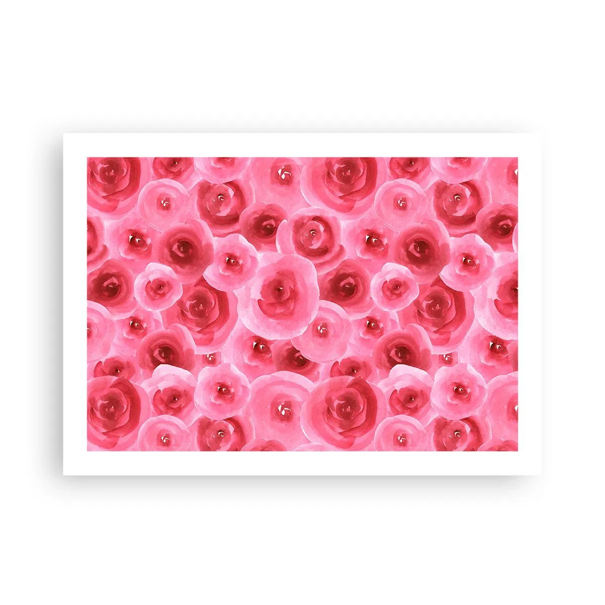 Plakat - Roser under og over - 70x50 cm